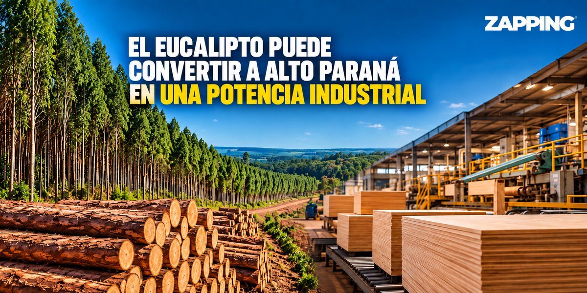 EL EUCALIPTO PUEDE CONVERTIR A ALTO PARANÁ EN UNA POTENCIA INDUSTRIAL