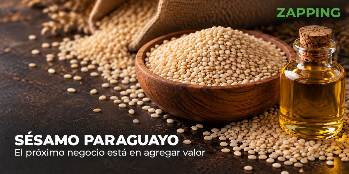 Sésamo paraguayo: el próximo negocio está en agregar valor