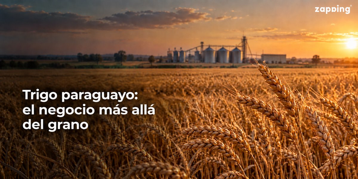 Trigo paraguayo: el próximo negocio está más allá del grano