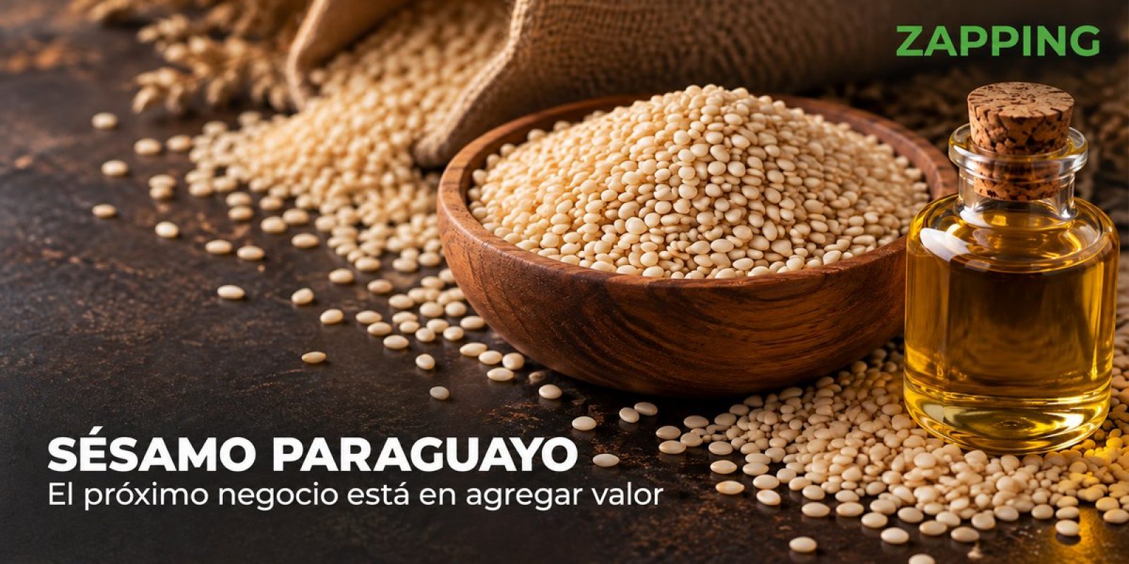SESAMO-TAPA-WEB