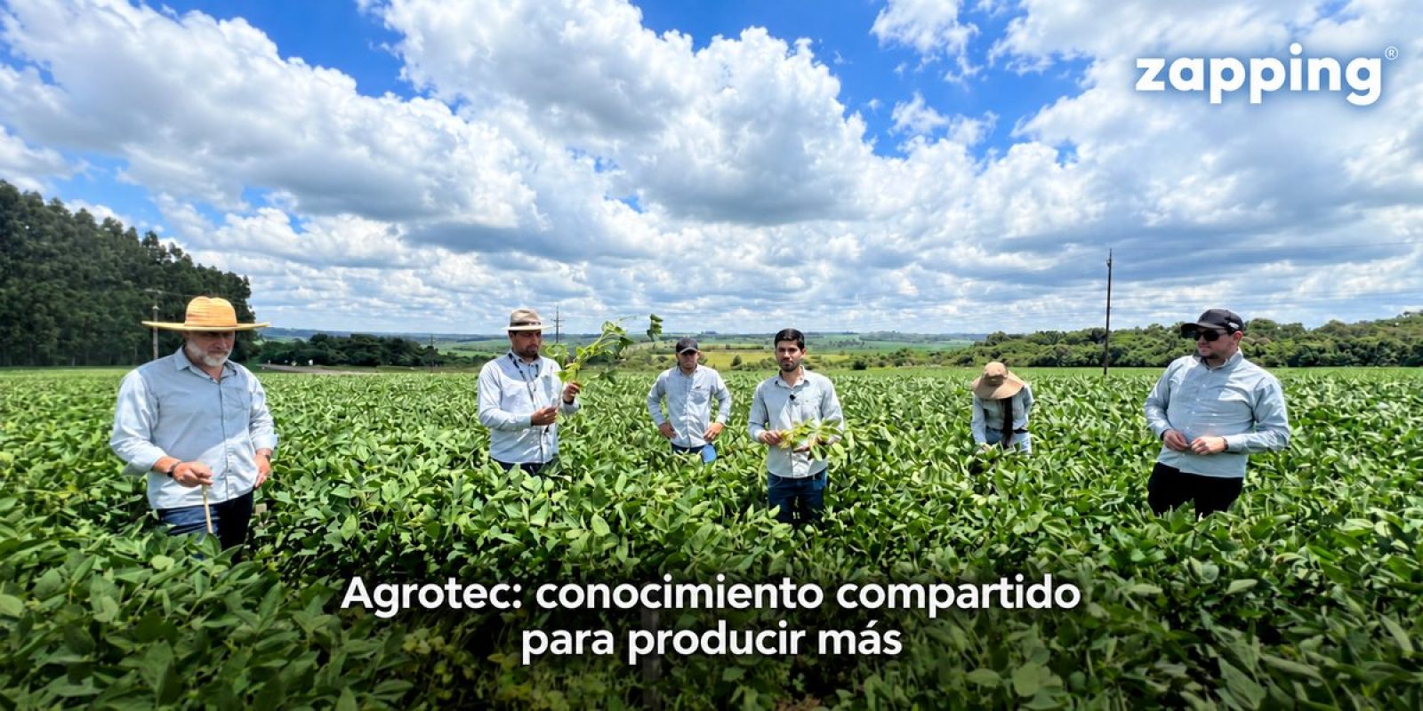 TAPA-WEB-1