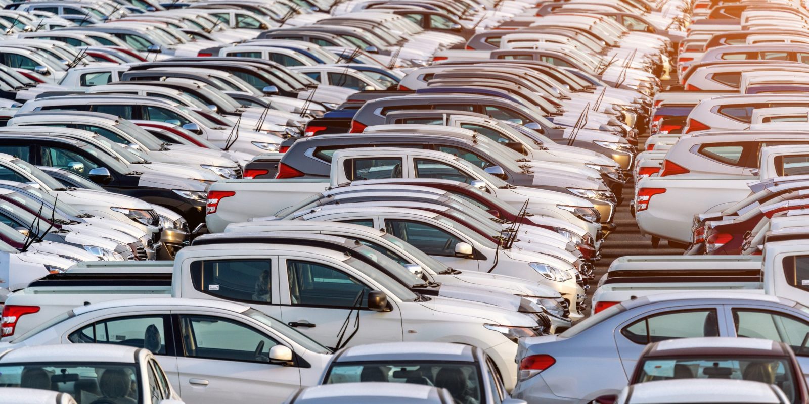 Row of new cars in port.